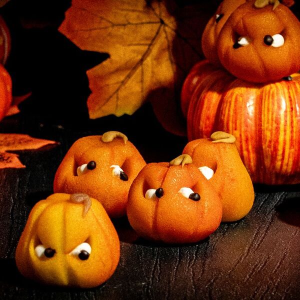 Lightbox - Pain d'Antan