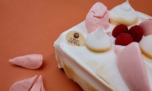 RASPBERRY VANILLA VACHERIN